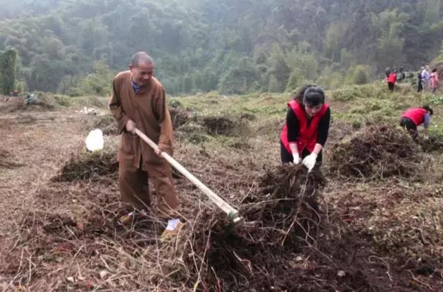 农禅并重完整版,农禅并重的寺院