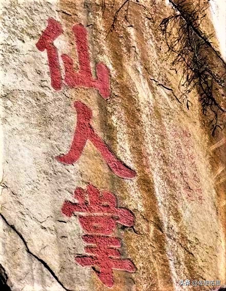 泰安扇子崖免门票吗,扇子崖门票多少钱