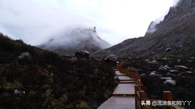 年保玉则现在开放了吗,年保玉则为啥被封