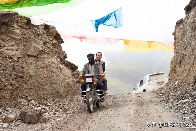 最好的虫草10斤虫草价值多少,正宗西藏鲜虫草多少钱一斤