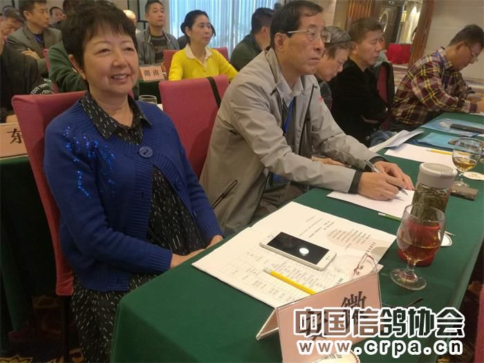 中国信鸽协会各地鸽会,惠州市信鸽协会电话