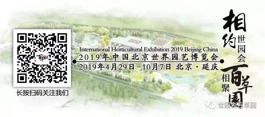 百草记|麦冬:集美貌与功效于一身的神奇中药