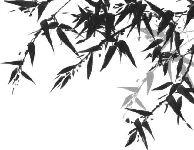 诸暨方言和其他方言比较,诸暨话方言美女