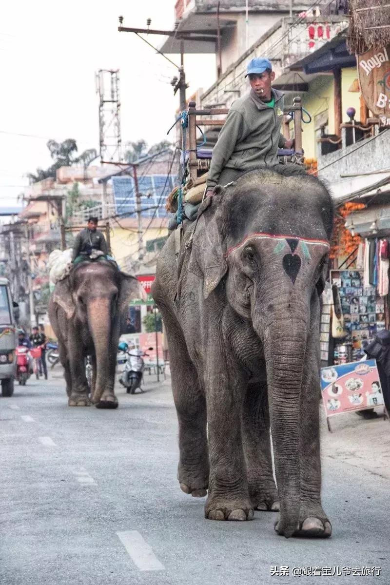 走进尼泊尔感受生活与风情,探访尼泊尔佛教徒