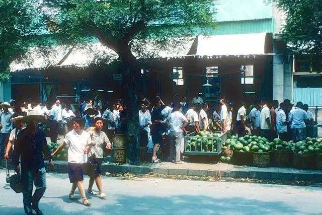 老舍写的北平的夏天,老舍北平的秋天济南的秋天