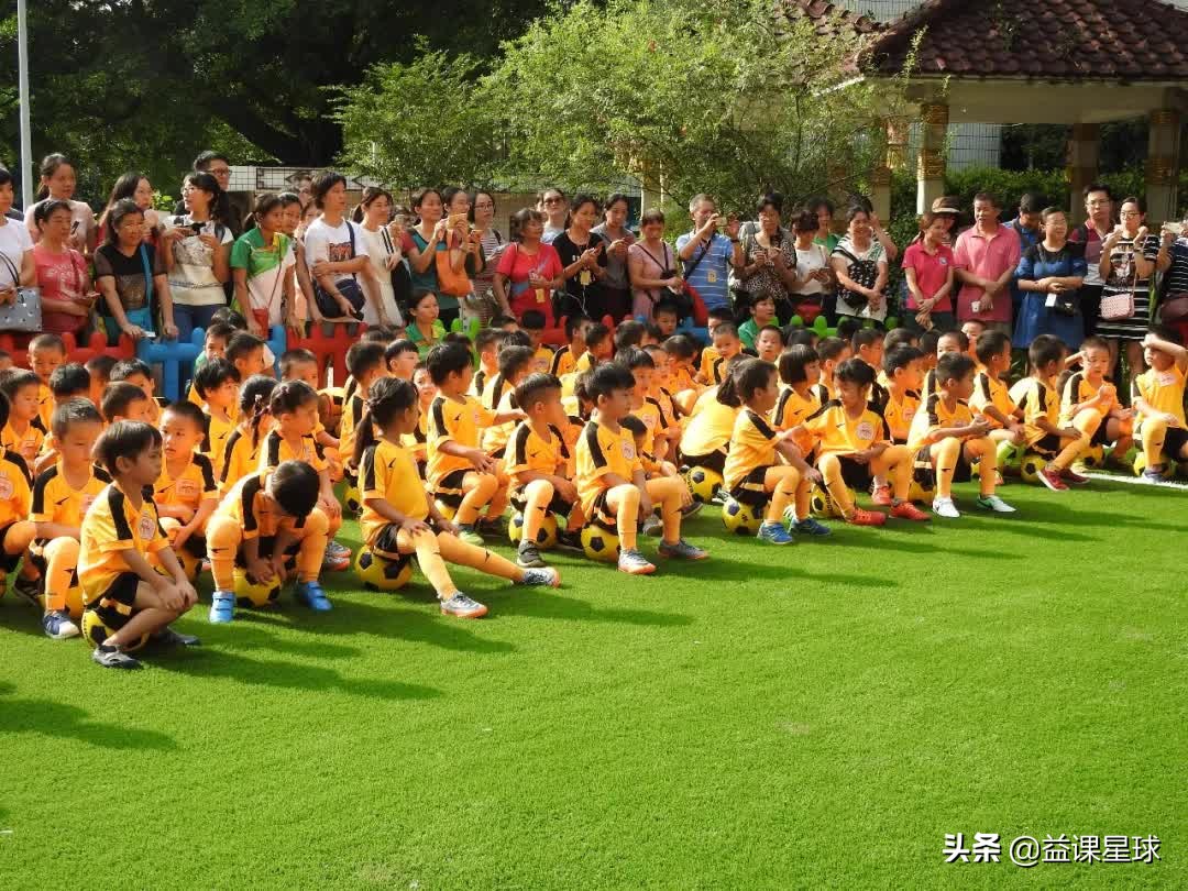 广州天穗足球卢琳,卢琳足协杯