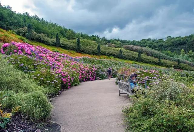 矿坑改造最美公园,矿坑改造湿地公园视频