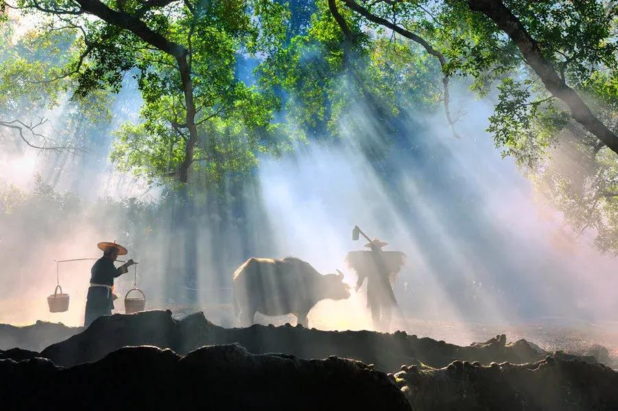 沐易讲道德经第二十七章,曾仕强道德经第十章讲解