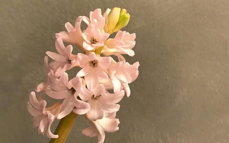 将迎来人生转折的三大星座,注定走向人生巅峰的四大星座