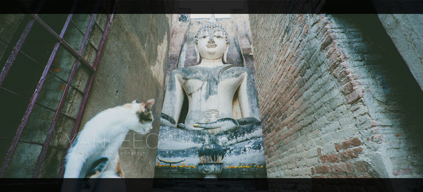 最新玩转泰国攻略,泰国旅游漫游