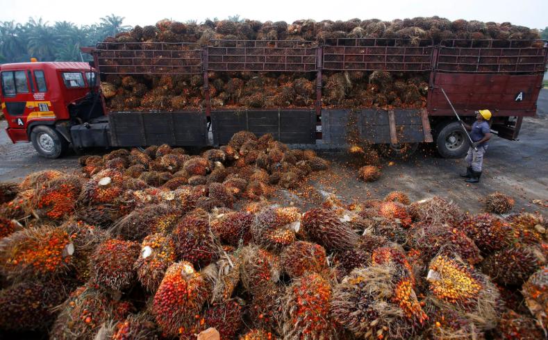 印度不会做生意:不买马来西亚的棕榈油还想把国产战机卖给人家