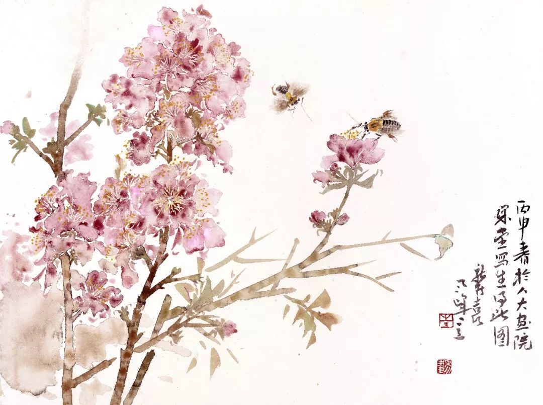 花卉好看的中国画,白描花卉临摹图片简单中国画