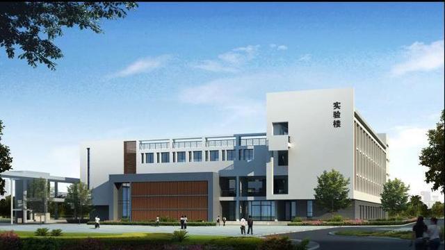 安徽亳州有什么著名的高中,2021安徽亳州高考排名