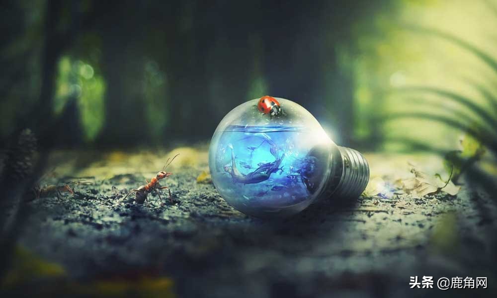 苍蝇冬眠时躲在哪里,下雨时苍蝇和蚊子在哪