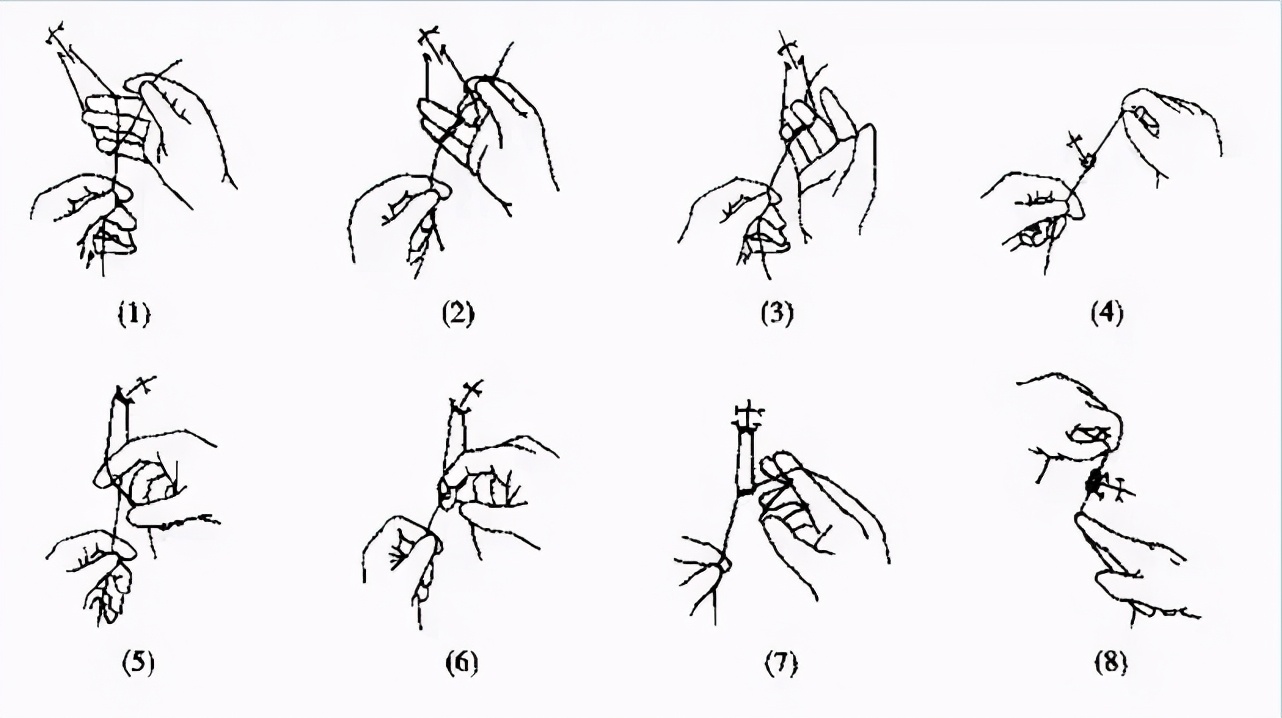 医学生学习打卡做题,医学生学习成果检验视频
