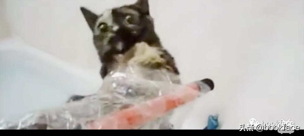 虐猫上瘾后，他预告杀人，从男模到杀人犯，自导自演一场恐怖大戏