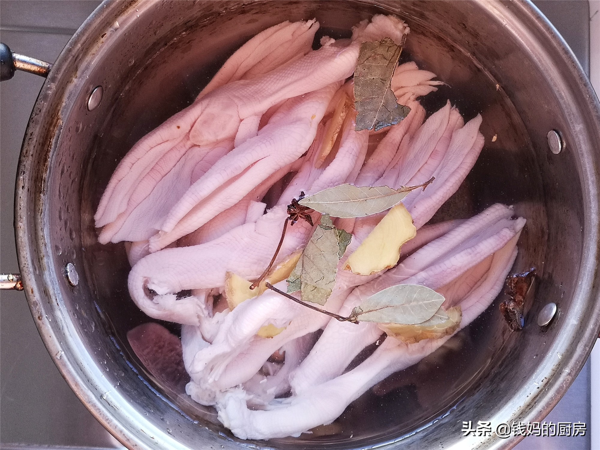 这是老妈最爱的美容菜，胶质多多、好吃解馋，1次吃1盘也不嫌多