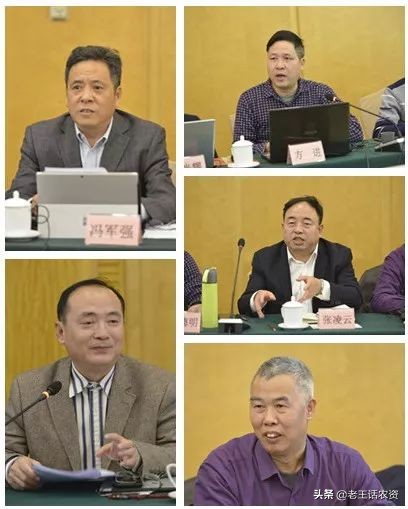 芭田股份90吨磷矿开采,芭田磷精矿