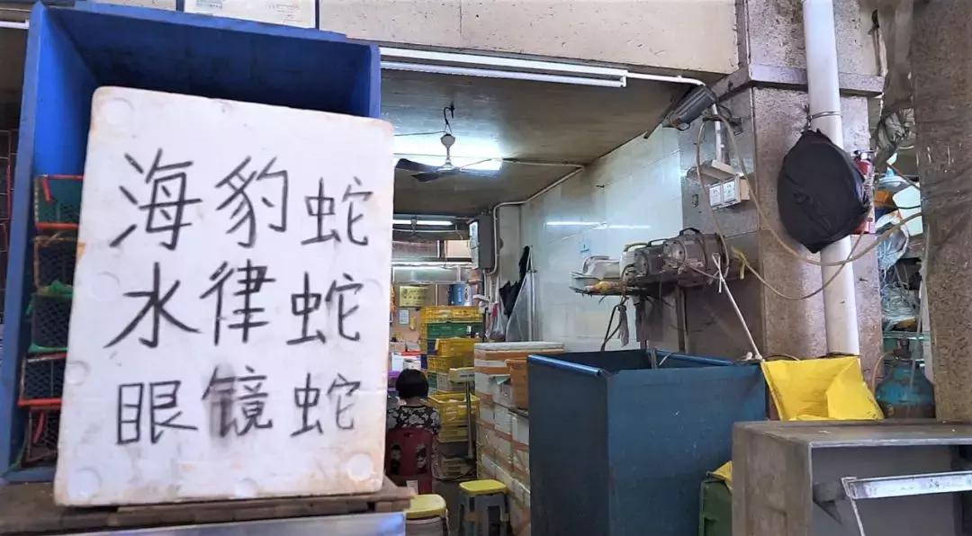 广东人真的吃蟑螂吗,广东人为什么喜欢吃水蟑螂