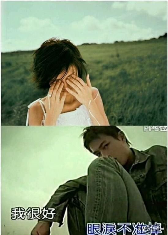 杨祐宁郭采洁甜蜜瞬间,杨祐宁郭采洁恋情