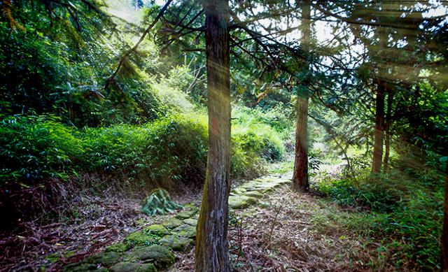 云浮新兴天露山游,云浮新兴天露山景点要门票吗