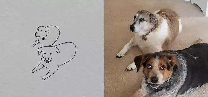 一波可爱动物简笔画,超火的简笔画动图