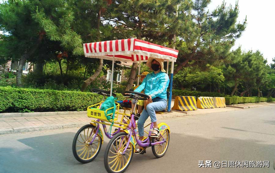 日照绿茶价格表,日照文旅