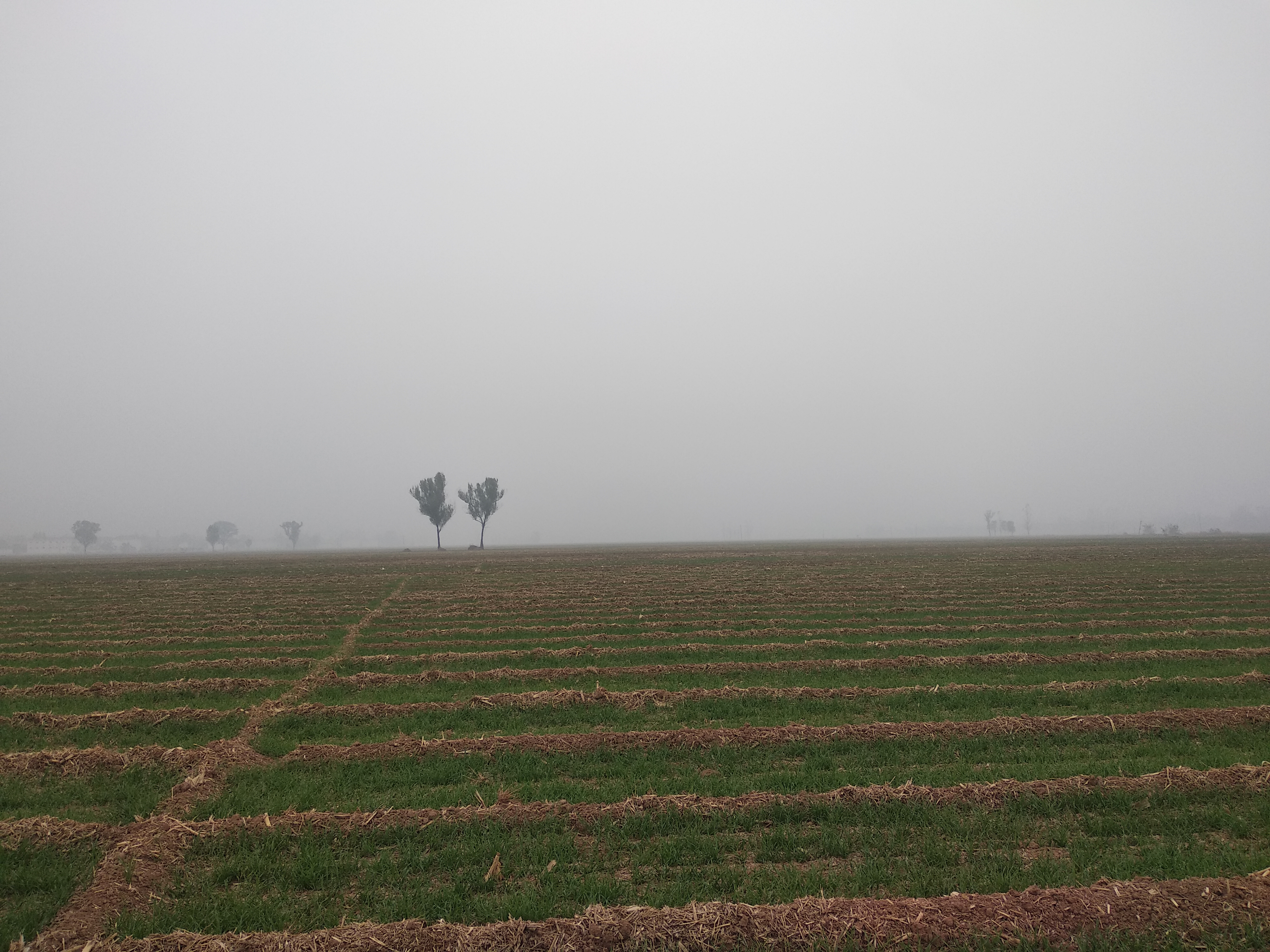 三合风水书籍,三合风水48向全图