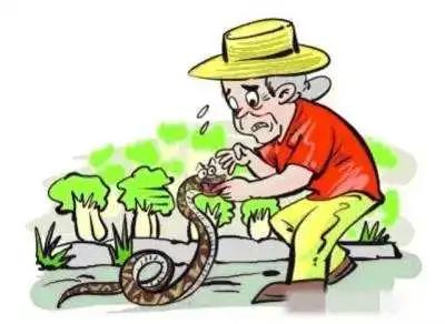 @大西岔镇好心人，这里有对您的感谢