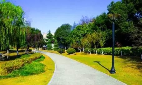 昆山哪个板块发展最好,昆山今天有免费景点吗