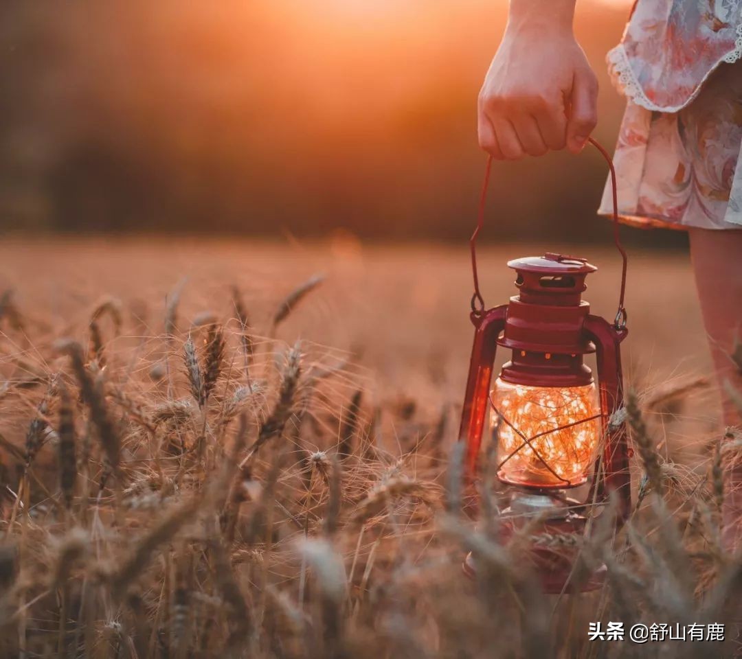 姥姥的智慧:当有些“坎”难以跨过时,记住这五句话,逢凶化吉