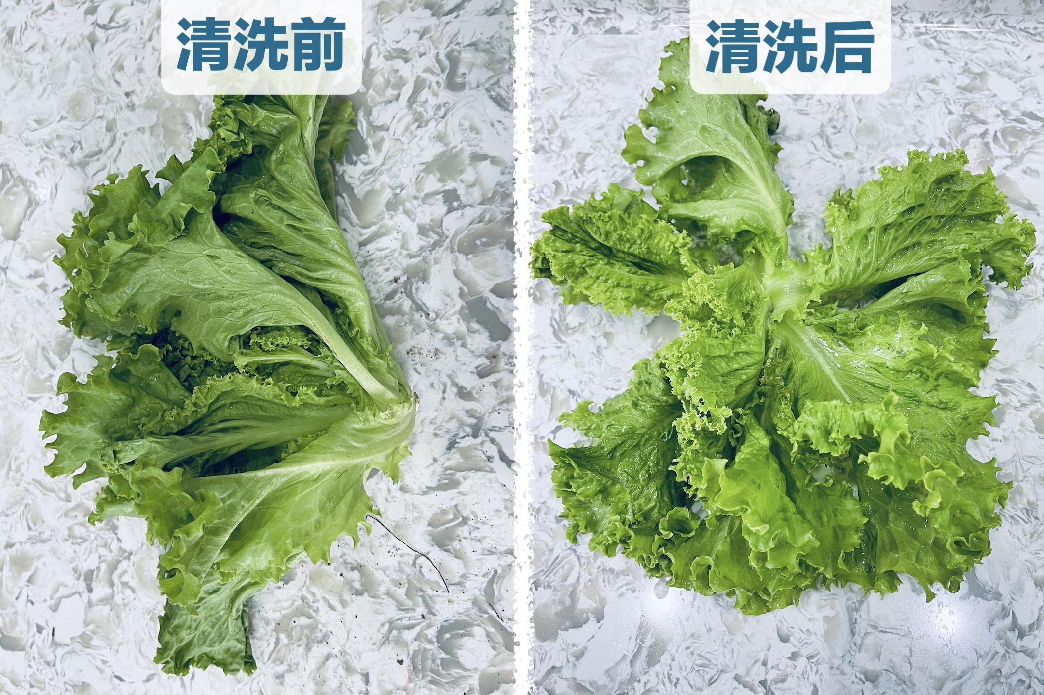 水槽洗碗机到底实不实用,不吹不黑评测视频