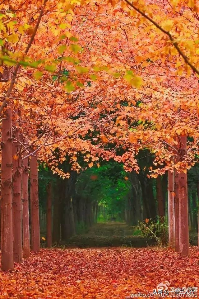 大连有一个蓝色的小城堡景点,大连秋季旅游景点攻略大全