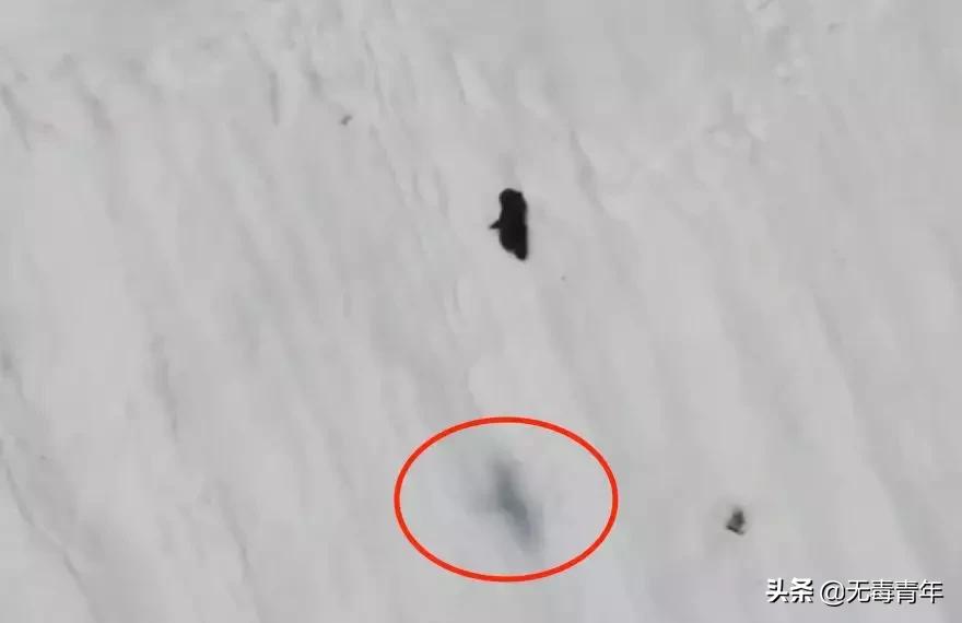 被囚34年取精，被迫亲手杀死爱子，最后只能挣扎着死去…