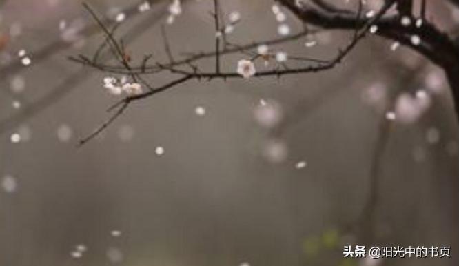 每当我想起一生中最后悔的事情,每当我想起人生中最后悔的事