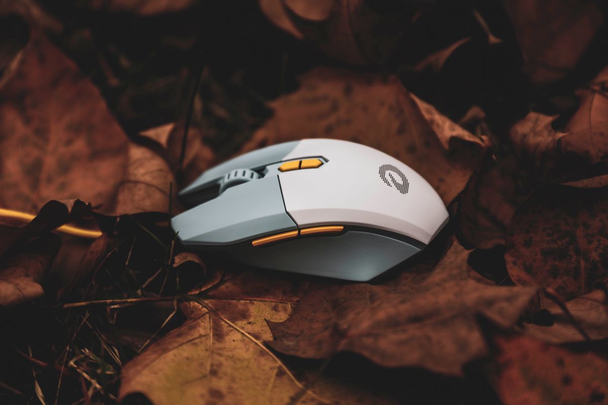 达尔优牧马人游戏电竞新款鼠标,达尔优牧马人游戏鼠标em915报价