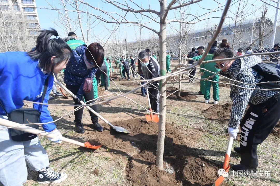 带你去美颜,明天一起去大理