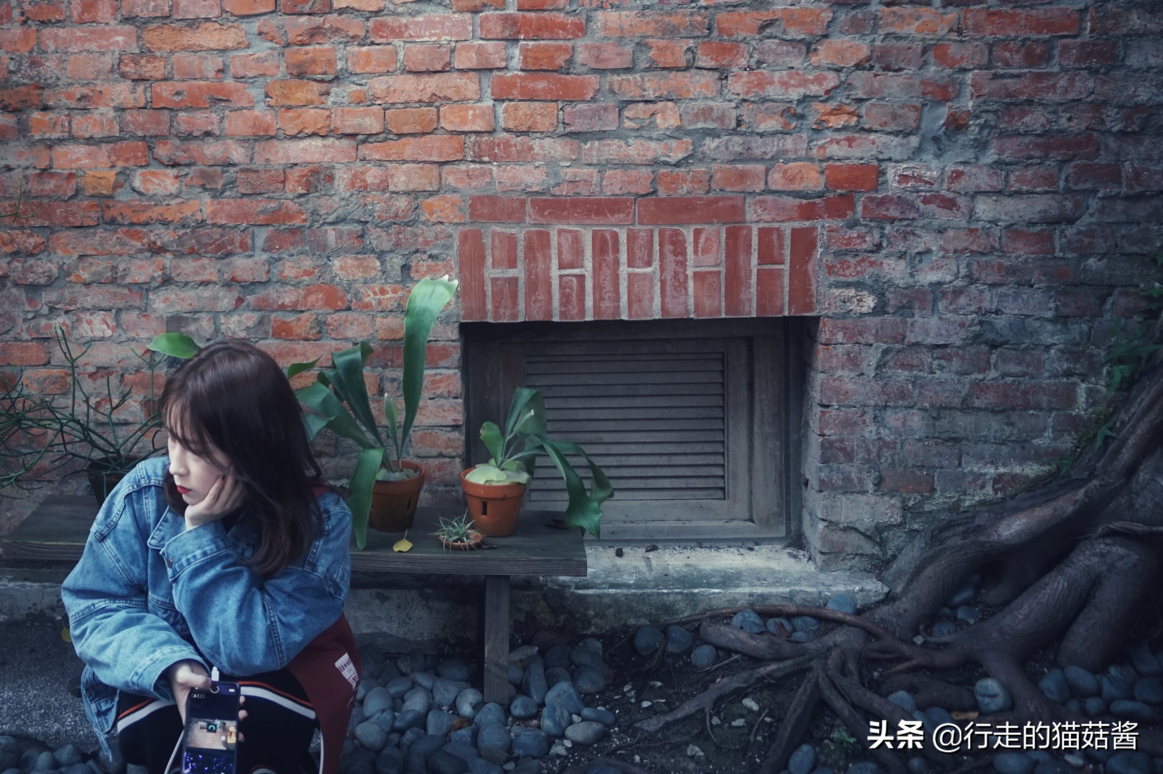 独自旅行前需要做哪些准备,女生一个人去旅游要注意什么