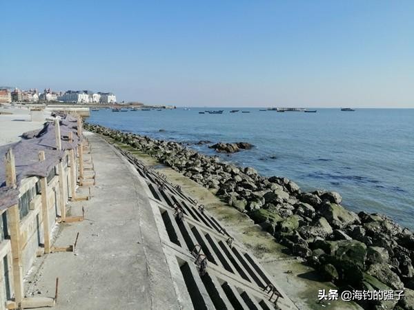 三种有奇效的野钓诱鱼绝招,穴钓钓组图解