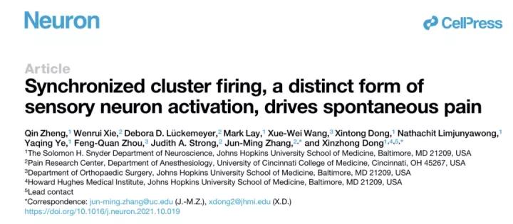 Neuron：董欣中/张俊明合作揭示神经损伤后自发性疼痛产生新机制