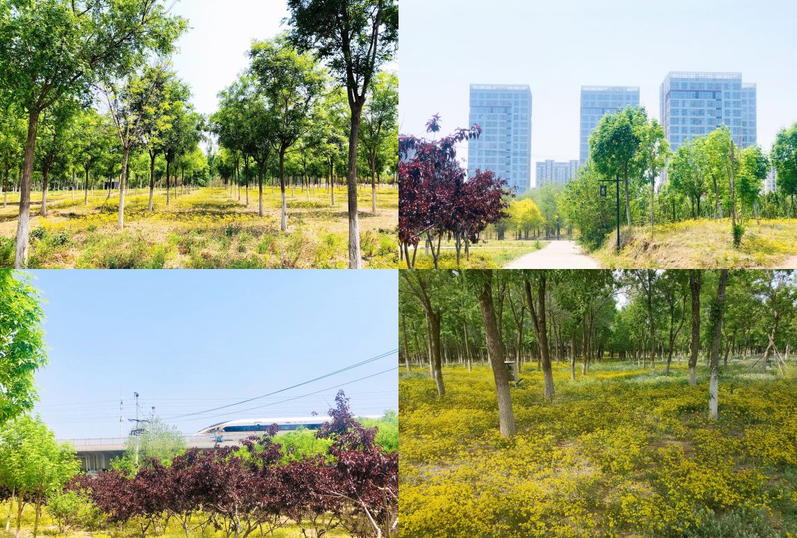 通州大运河免费公园,北京通州运河免费公园