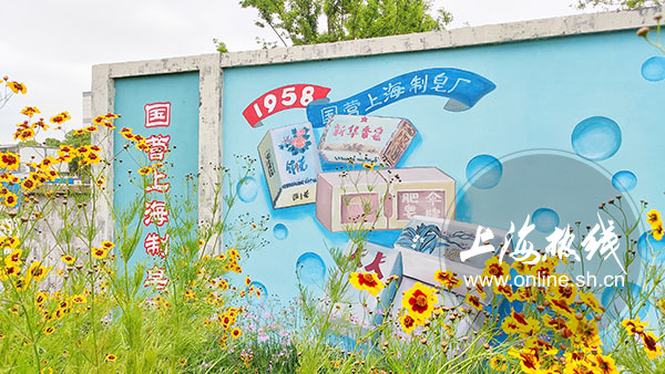 杨浦最新网红打卡,上海杨浦区网红打卡