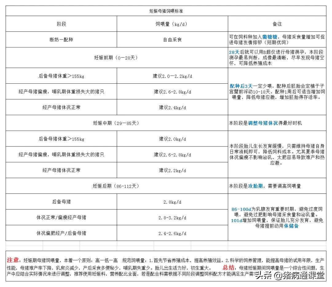 怀孕母猪的饲养与管理,后备母猪怀孕后怎么饲养