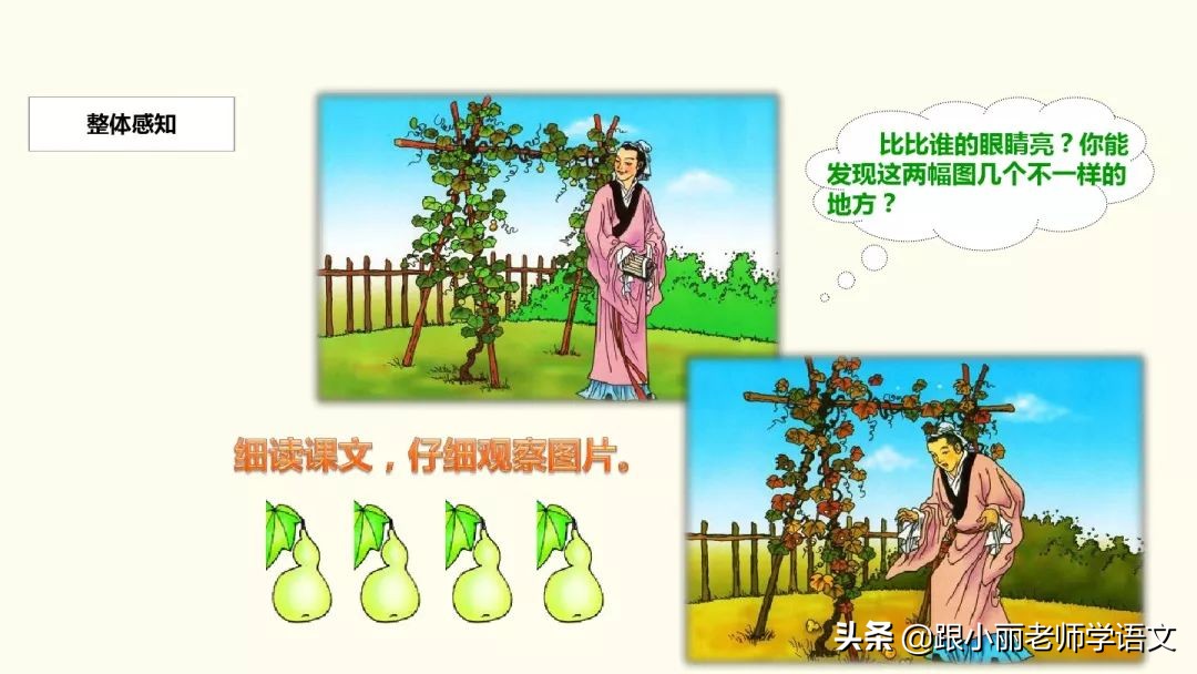 二年级我要的是葫芦的寓意是什么,二年级我要的是葫芦说明什么道理