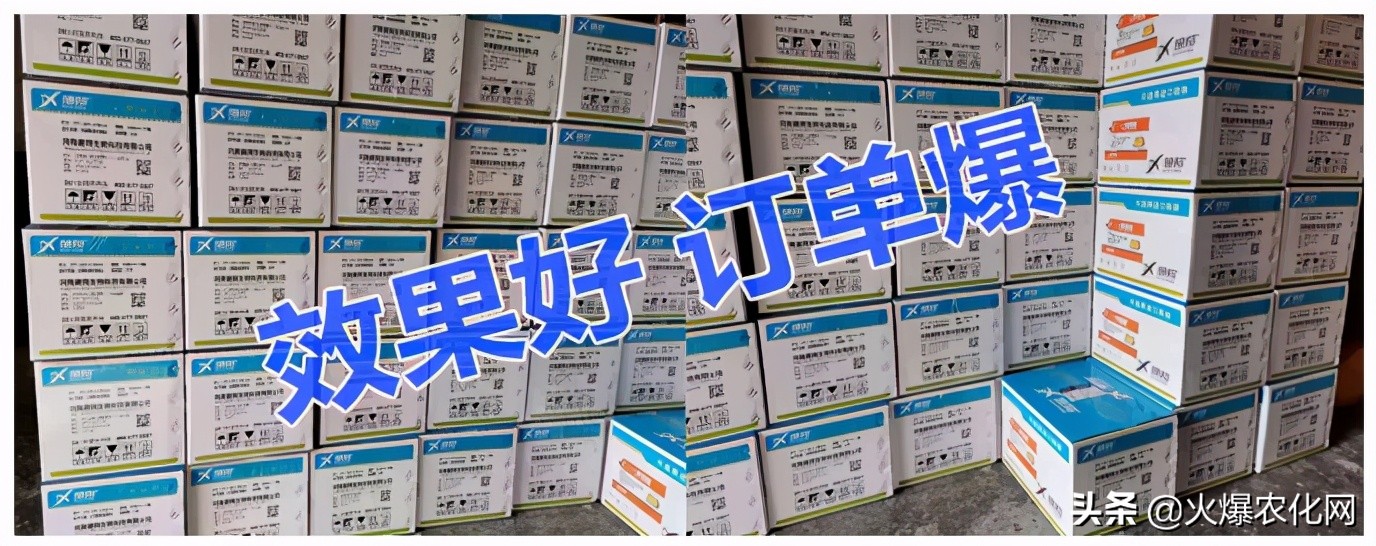 全面替代铜制剂！新一代“击溃爆品”！不伤花果！防治率高达96%