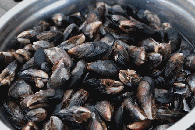 湛江美食生蚝推荐,湛江夜宵美食推荐生蚝