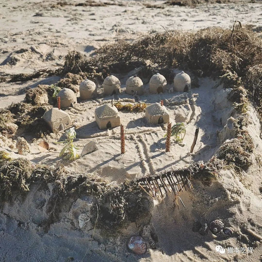 墨尔本两只相互依偎的企鹅,澳大利亚墨尔本看企鹅