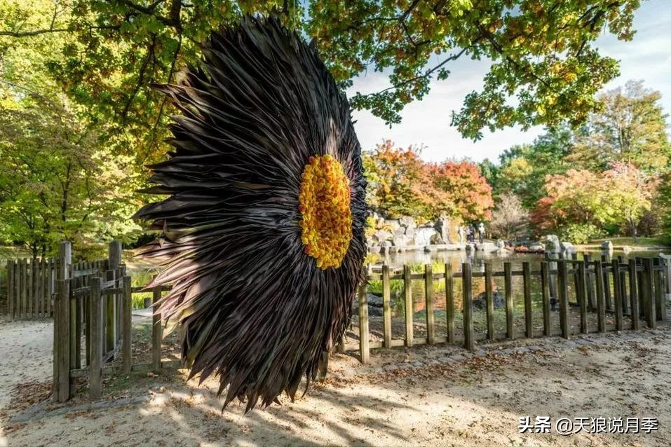 天狼月季优惠活动时间,天狼月季618活动