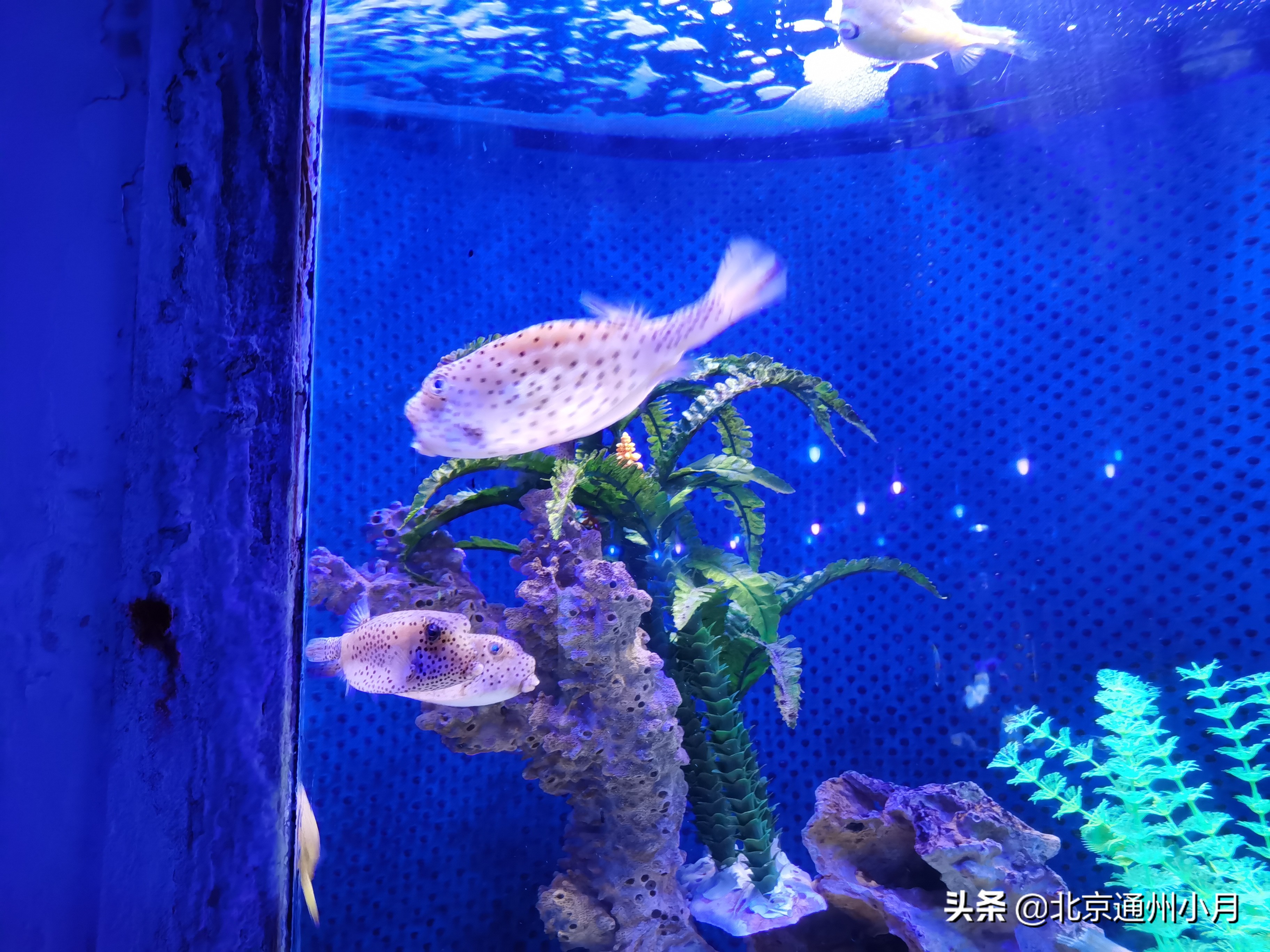 北京海底世界游览时间表,北京海底世界值得玩