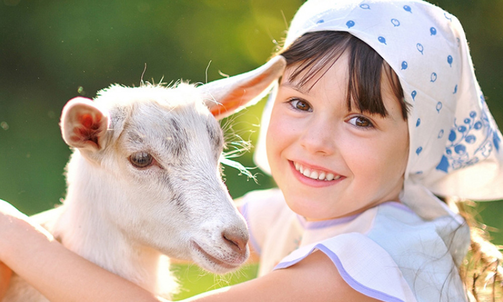 羊奶粉排行榜10强可瑞康绵羊奶粉,婴儿羊奶粉排名第一名佳贝艾特